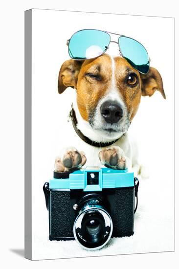 Dog Photo Camera-Javier Brosch-Stretched Canvas