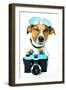 Dog Photo Camera-Javier Brosch-Framed Premium Photographic Print