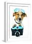 Dog Photo Camera-Javier Brosch-Framed Premium Photographic Print