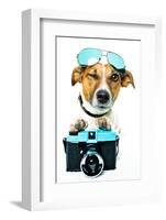 Dog Photo Camera-Javier Brosch-Framed Photographic Print