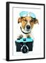 Dog Photo Camera-Javier Brosch-Framed Photographic Print