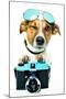 Dog Photo Camera-Javier Brosch-Mounted Photographic Print