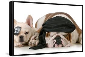 Dog Pirates - French and English Bulldog Dressed Up Like Pirates-Willee Cole-Framed Stretched Canvas