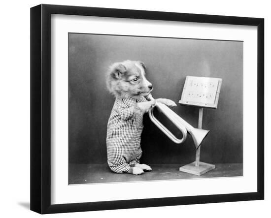 Photographic Print, , large
