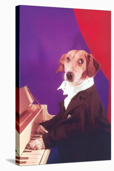 Dog Playing Piano-Found Image Press-Stretched Canvas