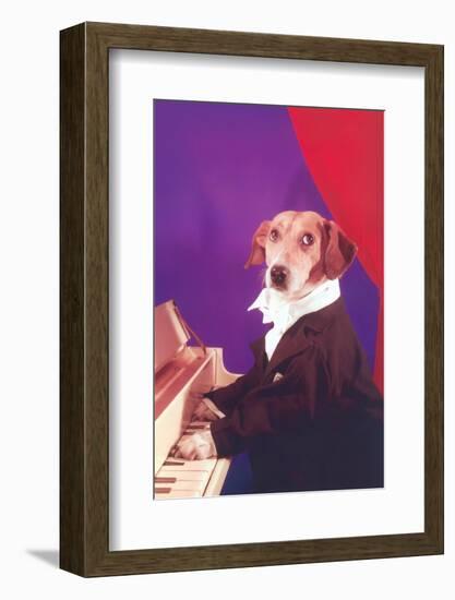 Dog Playing Piano-Found Image Press-Framed Photographic Print