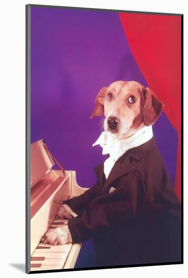 Dog Playing Piano-Found Image Press-Mounted Photographic Print