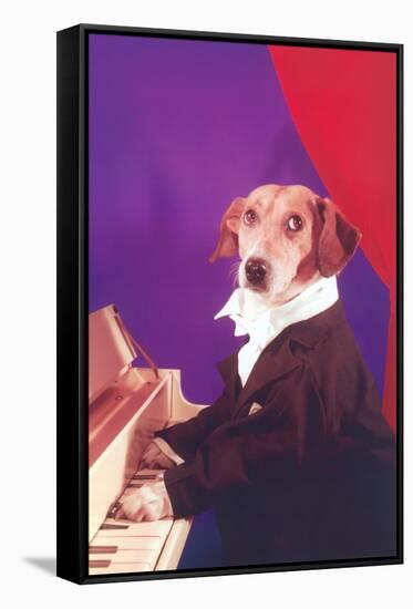 Dog Playing Piano-null-Framed Stretched Canvas