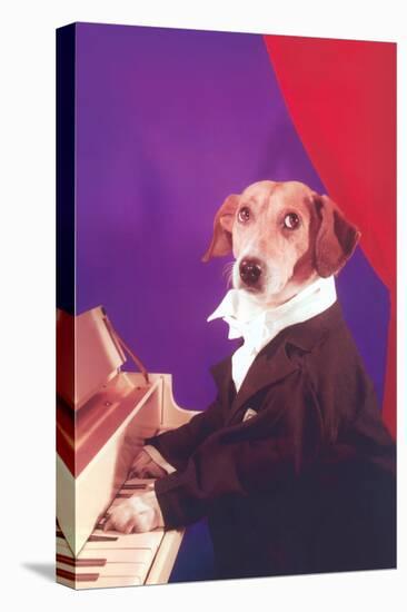Dog Playing Piano-null-Stretched Canvas