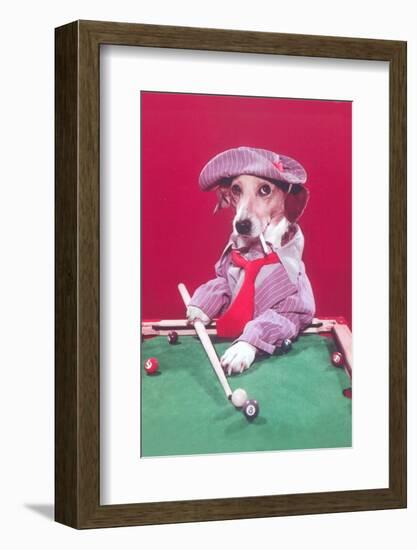 Dog Pool Shark-Found Image Press-Framed Photographic Print