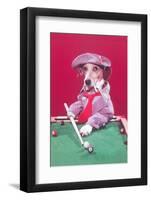 Dog Pool Shark-Found Image Press-Framed Photographic Print