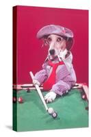 Dog Pool Shark-null-Stretched Canvas
