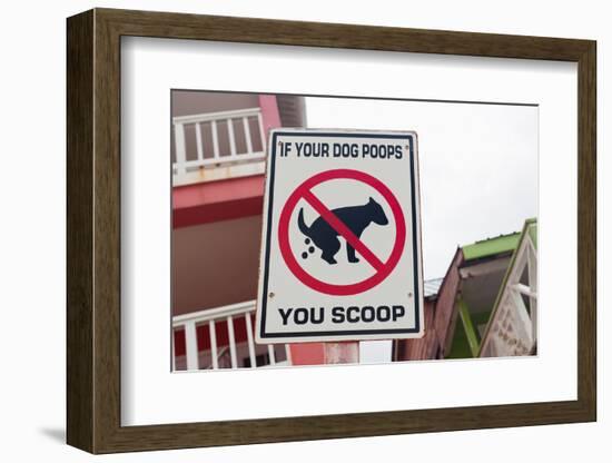 Dog Poop Sign-TamiFreed-Framed Photographic Print