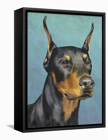 Dog Portrait, Dobie-Jill Sands-Framed Stretched Canvas