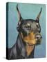 Dog Portrait, Dobie-Jill Sands-Stretched Canvas