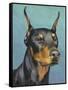 Dog Portrait, Dobie-Jill Sands-Framed Stretched Canvas