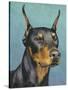 Dog Portrait, Dobie-Jill Sands-Stretched Canvas