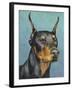 Dog Portrait, Dobie-Jill Sands-Framed Art Print