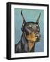 Dog Portrait, Dobie-Jill Sands-Framed Art Print