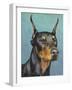 Dog Portrait, Dobie-Jill Sands-Framed Art Print