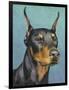 Dog Portrait, Dobie-Jill Sands-Framed Art Print