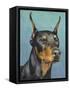 Dog Portrait, Dobie-Jill Sands-Framed Stretched Canvas