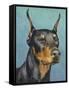 Dog Portrait, Dobie-Jill Sands-Framed Stretched Canvas