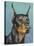 Dog Portrait, Dobie-Jill Sands-Stretched Canvas
