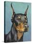 Dog Portrait, Dobie-Jill Sands-Stretched Canvas