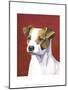 Dog Portrait, Jack-Jill Sands-Mounted Art Print