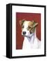 Dog Portrait, Jack-Jill Sands-Framed Stretched Canvas