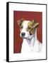 Dog Portrait, Jack-Jill Sands-Framed Stretched Canvas