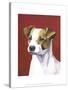 Dog Portrait, Jack-Jill Sands-Stretched Canvas