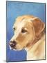 Dog Portrait, Yellow Lab-Jill Sands-Mounted Art Print