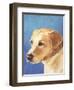 Dog Portrait, Yellow Lab-Jill Sands-Framed Art Print