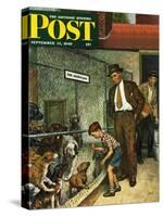 "Dog Pound," Saturday Evening Post Cover, September 17, 1949-Amos Sewell-Stretched Canvas