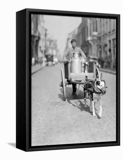 Dog Pulling a Cart-null-Framed Stretched Canvas