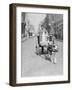 Dog Pulling a Cart-null-Framed Photographic Print