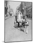 Dog Pulling a Cart-null-Mounted Photographic Print