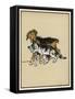 Dog Pulls a Cat Along by the Scruff of Its Neck-Cecil Aldin-Framed Stretched Canvas