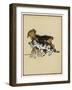 Dog Pulls a Cat Along by the Scruff of Its Neck-Cecil Aldin-Framed Art Print