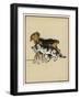 Dog Pulls a Cat Along by the Scruff of Its Neck-Cecil Aldin-Framed Art Print