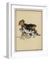 Dog Pulls a Cat Along by the Scruff of Its Neck-Cecil Aldin-Framed Art Print