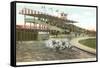 Dog Races, Agua Caliente, Tijuana, Mexico-null-Framed Stretched Canvas