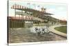 Dog Races, Agua Caliente, Tijuana, Mexico-null-Stretched Canvas