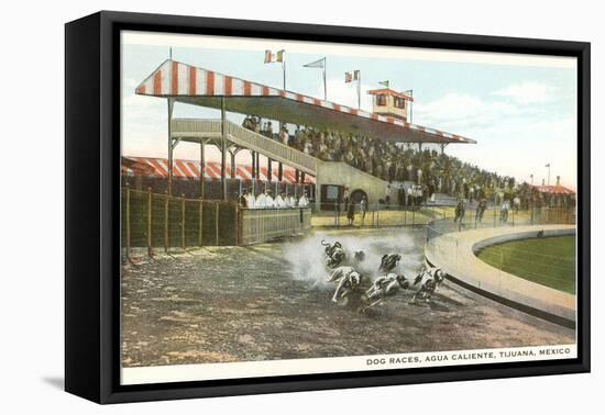 Dog Races, Agua Caliente, Tijuana, Mexico-null-Framed Stretched Canvas