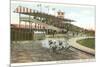 Dog Races, Agua Caliente, Tijuana, Mexico-null-Mounted Premium Giclee Print