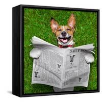 Dog Reading Newspaper-Javier Brosch-Framed Stretched Canvas