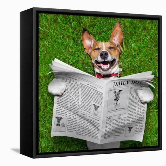 Dog Reading Newspaper-Javier Brosch-Framed Stretched Canvas