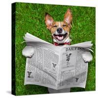 Dog Reading Newspaper-Javier Brosch-Stretched Canvas